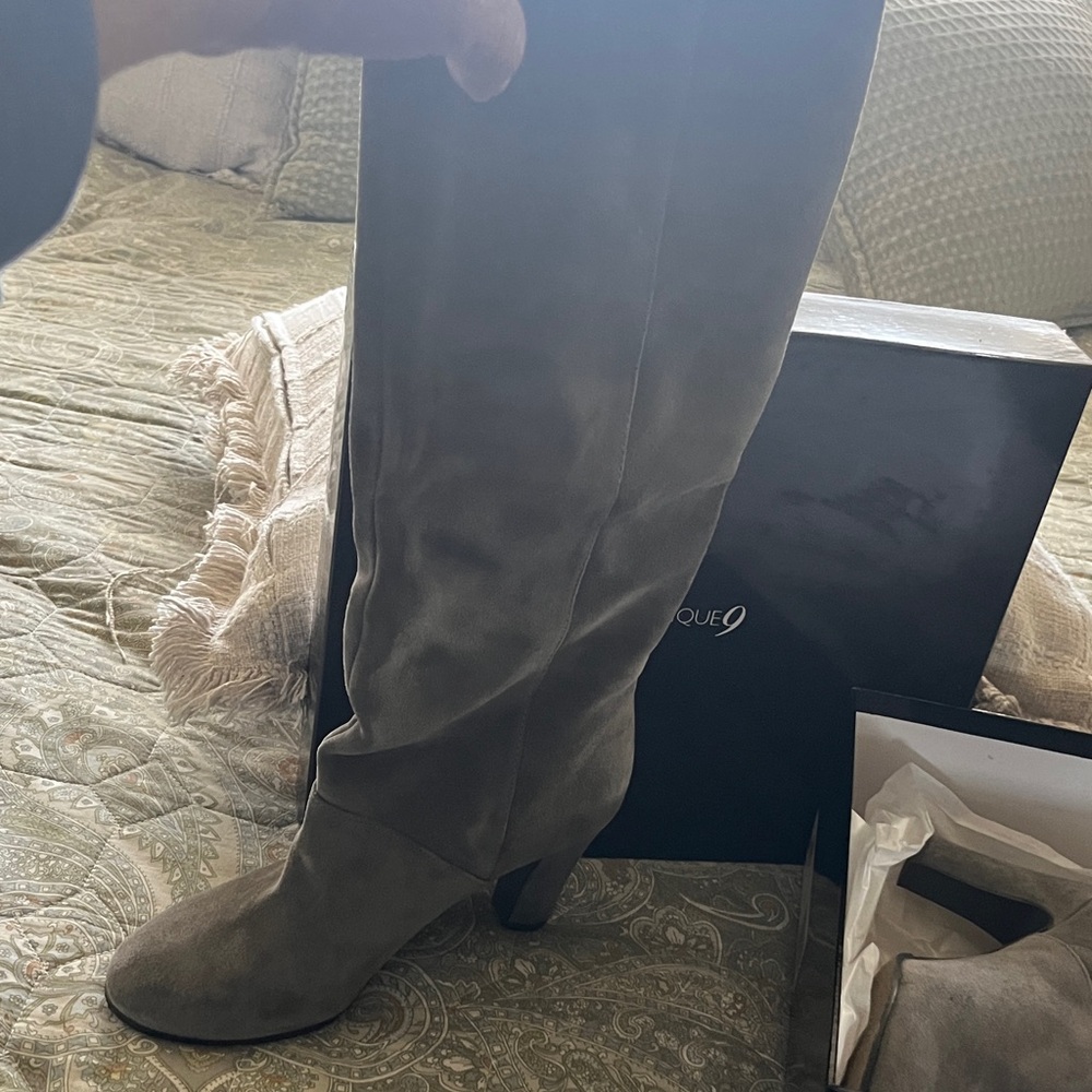 Boutique 9 Taupe Suede Tall Boots